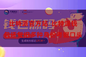 比特派官方站 比特派钱包还复旧多种身份考据口头