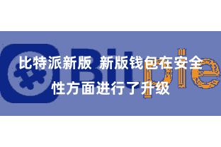 比特派新版 新版钱包在安全性方面进行了升级