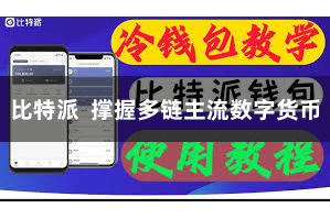 比特派 撑握多链主流数字货币