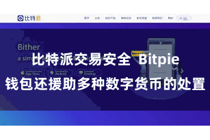 比特派交易安全  Bitpie钱包还援助多种数字货币的处置