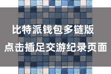 比特派钱包多链版  点击插足交游纪录页面