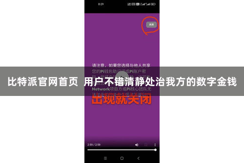 比特派官网首页  用户不错清静处治我方的数字金钱
