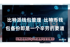 比特派钱包管理  比特币钱包备份即是一个辛劳的要道