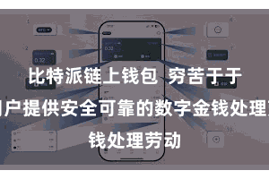比特派链上钱包  穷苦于于为用户提供安全可靠的数字金钱处理劳动