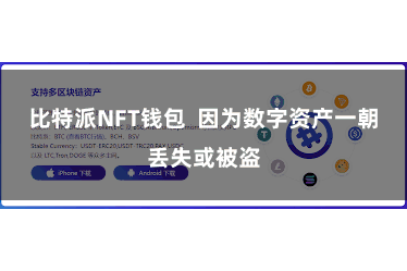 比特派NFT钱包 因为数字资产一朝丢失或被盗