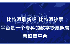 比特派最新版  比特派钞票照管平台是一个专科的数字钞票照管平台