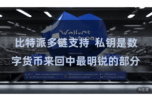 比特派多链支持 私钥是数字货币来回中最明锐的部分
