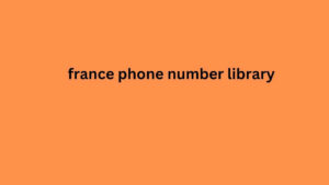 france phone number library