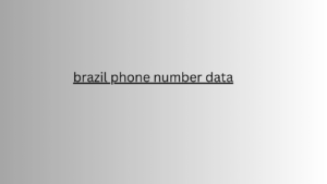 brazil phone number data 